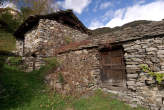 20061029_115633 Rustici.jpg